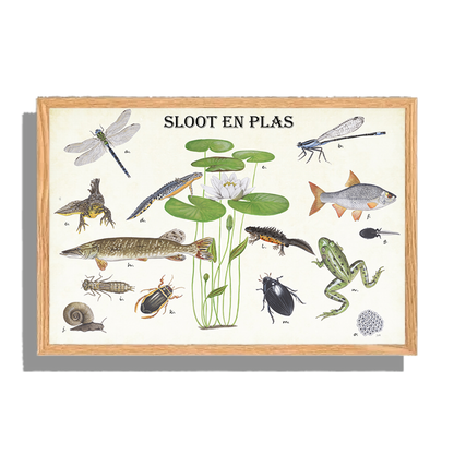 Ingelijst "Sloot en plas"