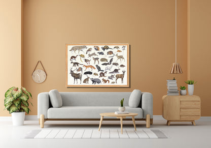 Ingelijst "Zoogdieren"