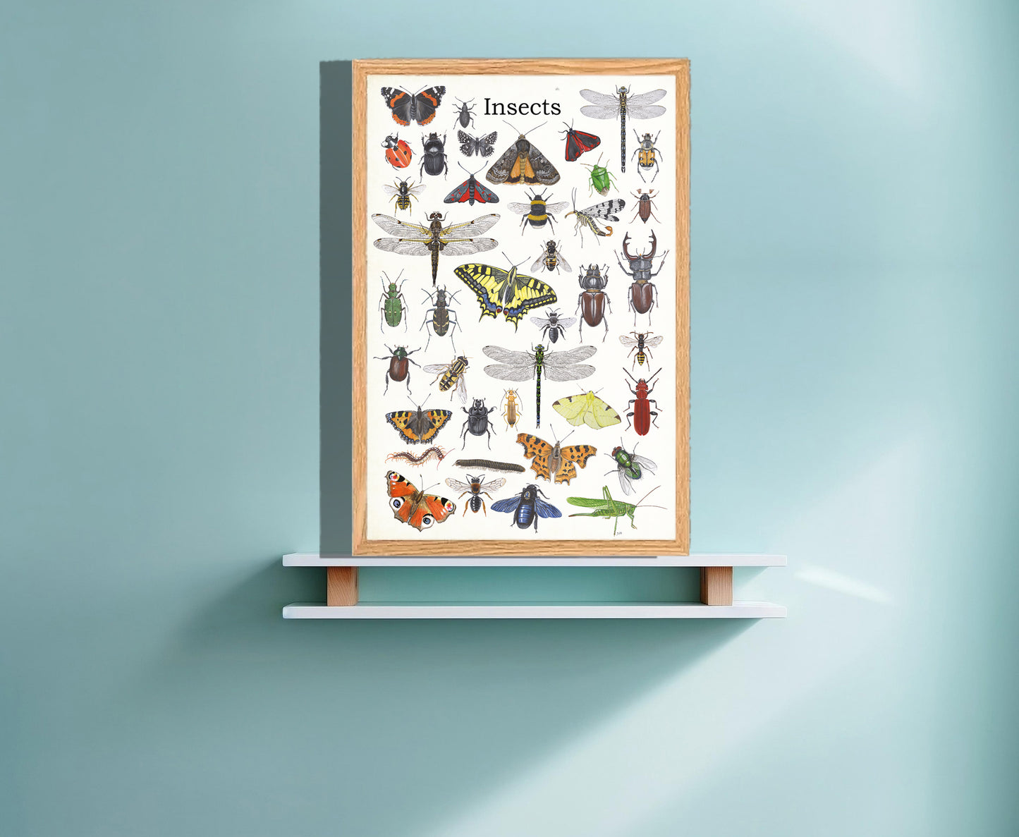 Ingelijst "Insects"