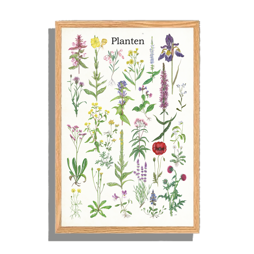Ingelijst "Planten 2"