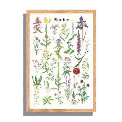 Ingelijst "Planten 2"
