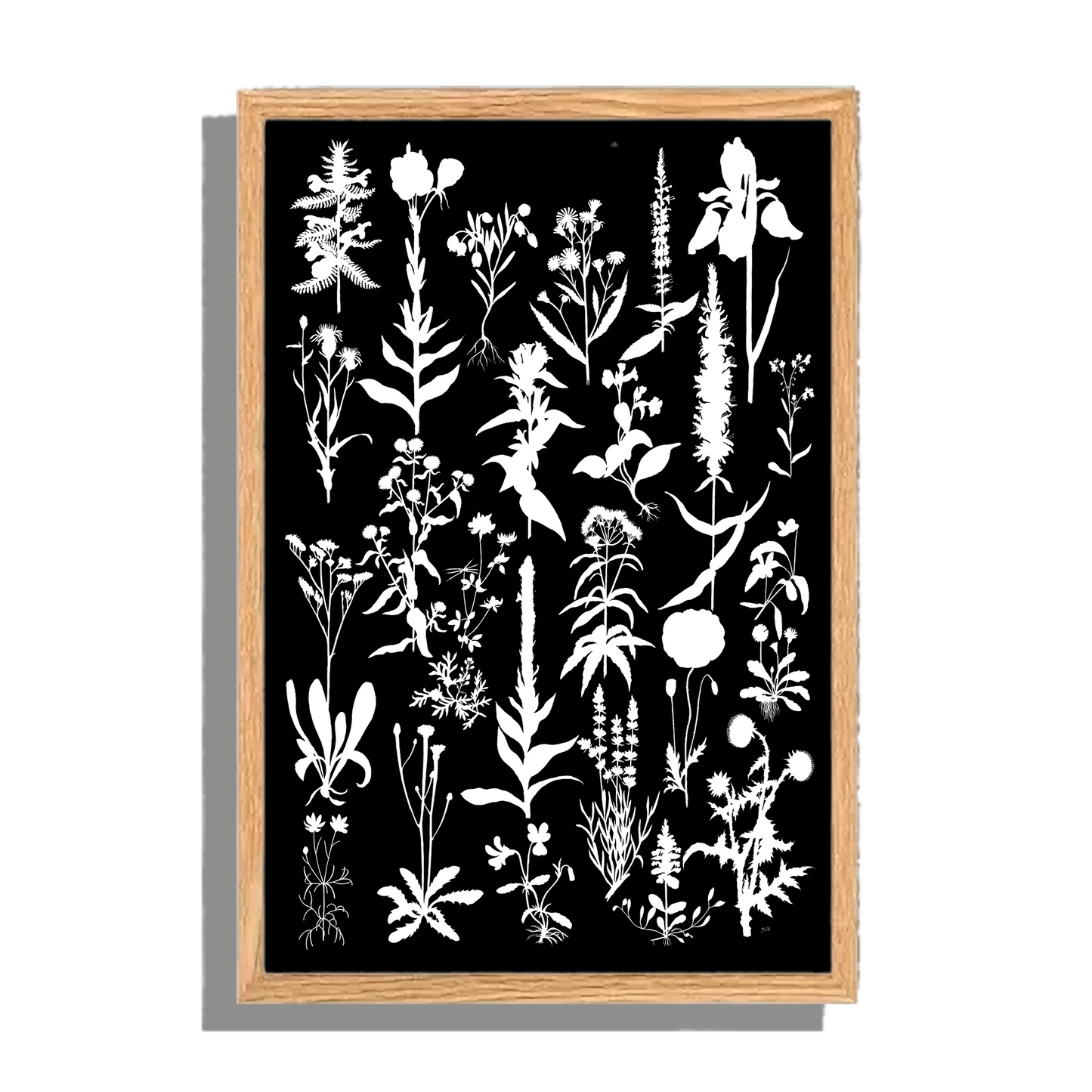 Ingelijst "Planten 2 in witzwart"