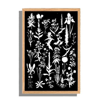 Ingelijst "Planten 2 in witzwart"