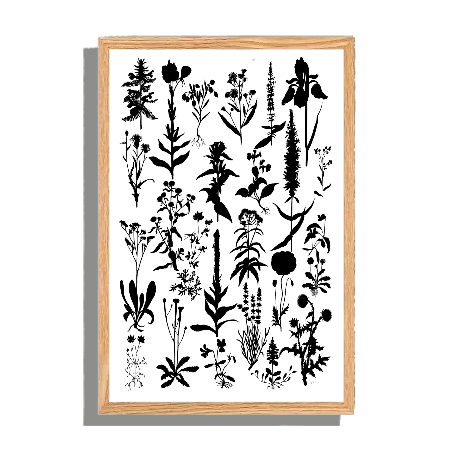 Ingelijst "Planten 2 in zwartwit"
