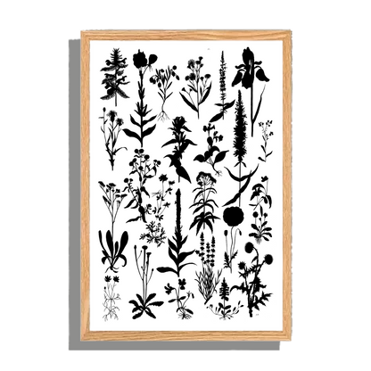 Ingelijst "Planten 2 in zwartwit"