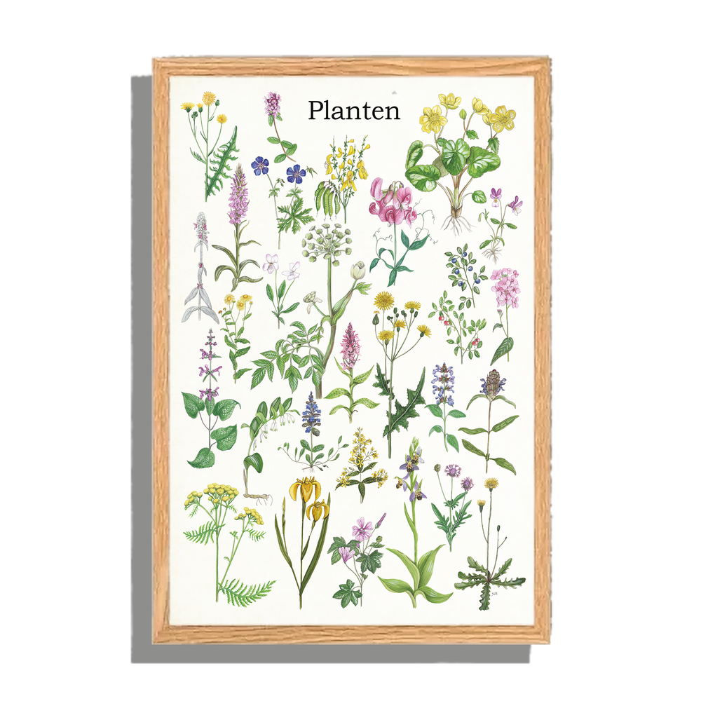 Ingelijst "Planten"