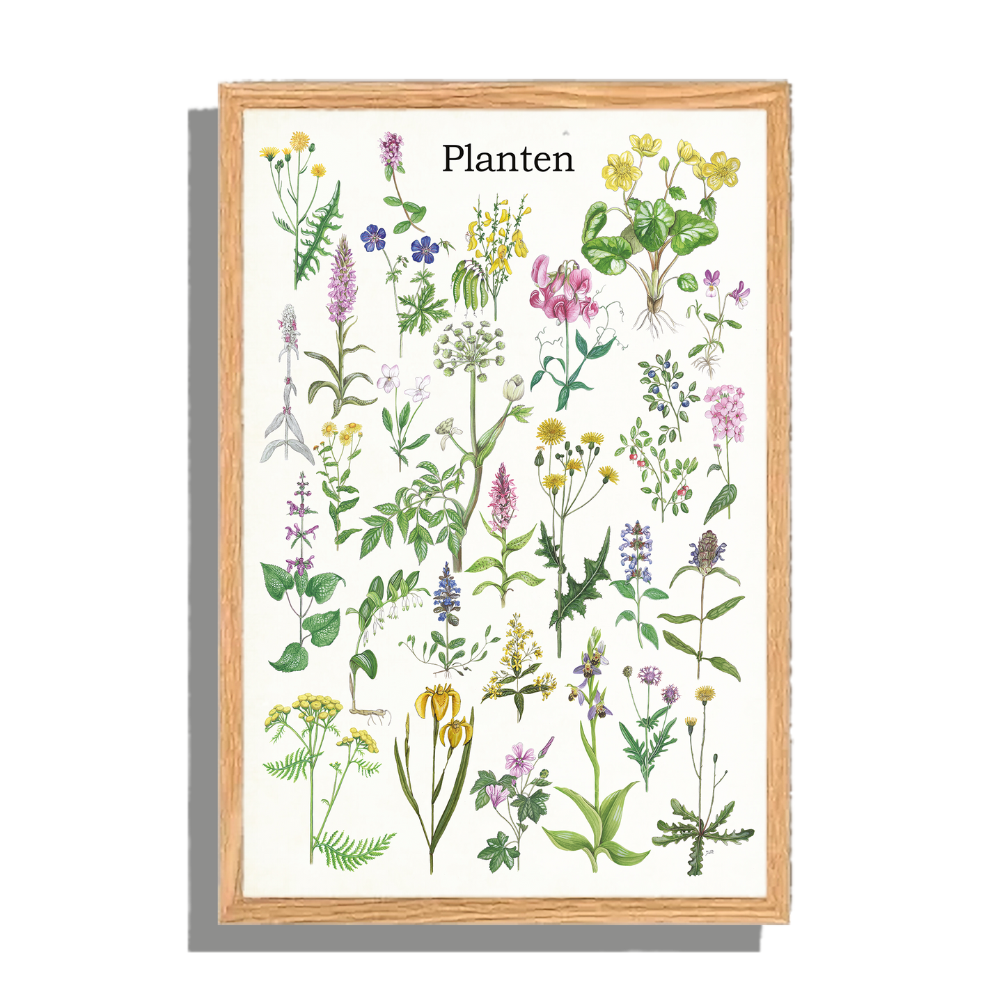 Ingelijst "Planten"