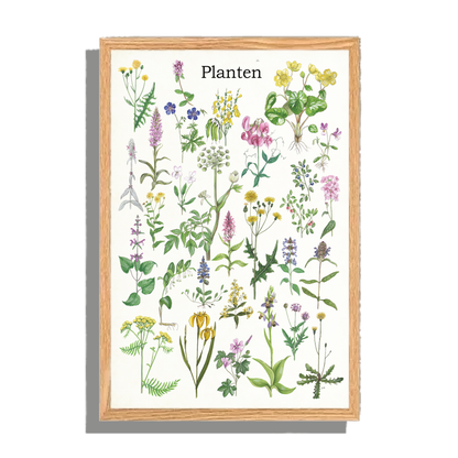 Ingelijst "Planten"