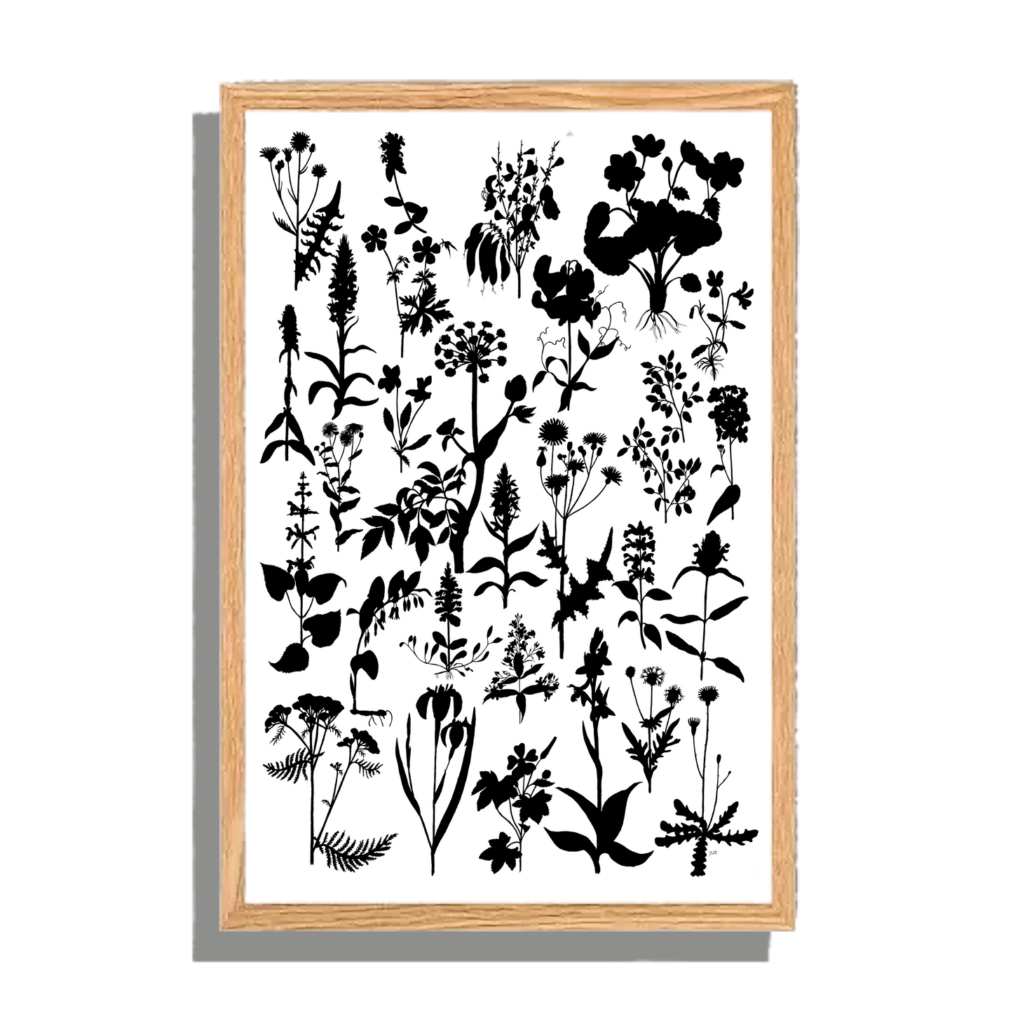 Ingelijst "Planten in zwartwit"