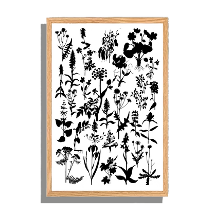 Ingelijst "Planten in zwartwit"