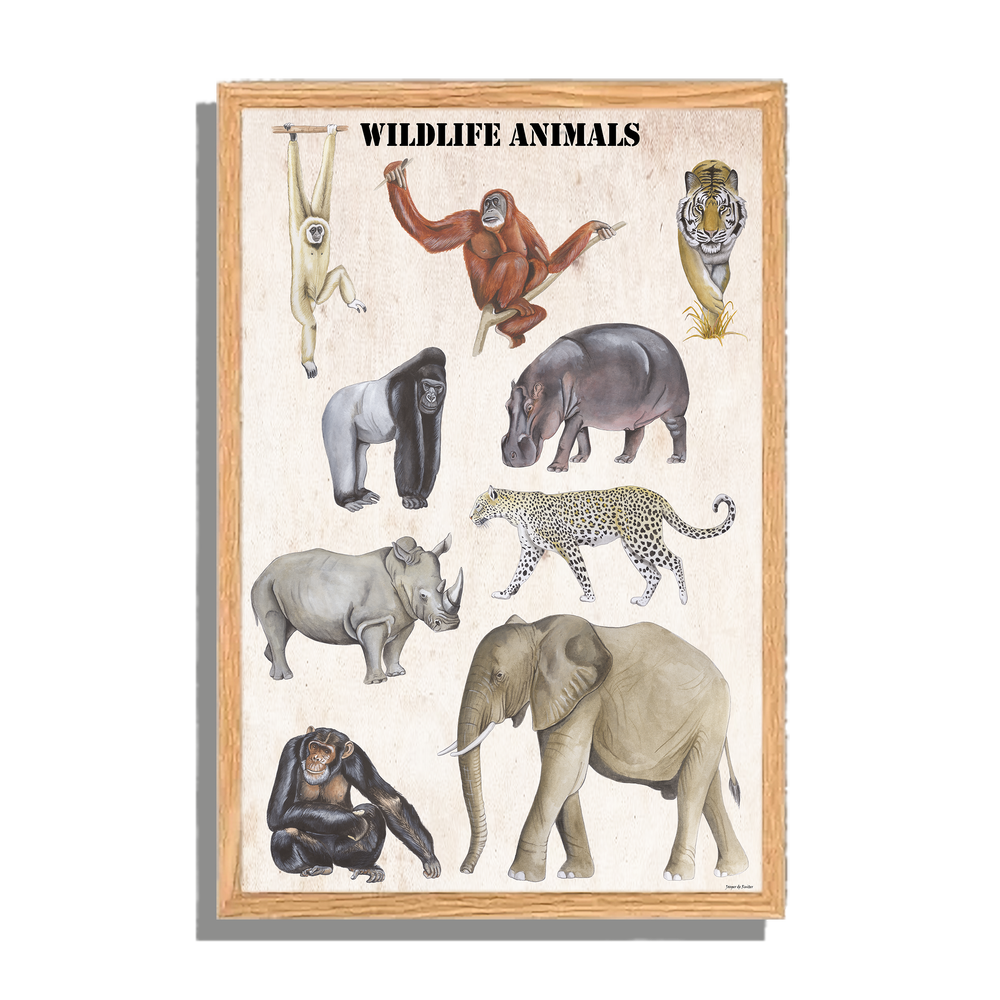 Ingelijst "Wildlife Animals"