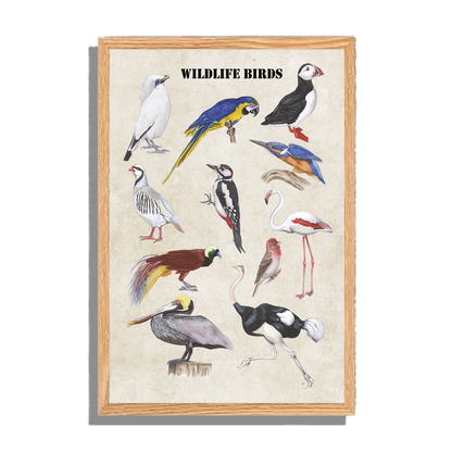 Ingelijst "Wildlife Birds"