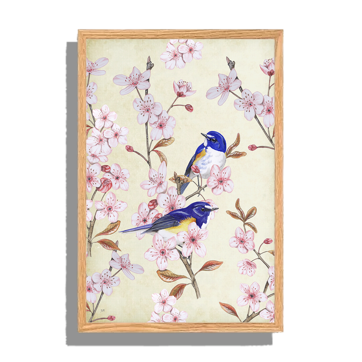 Ingelijst "Japanse Bluebird op Japanse kers"