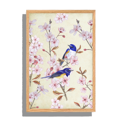 Ingelijst "Japanse Bluebird op Japanse kers"