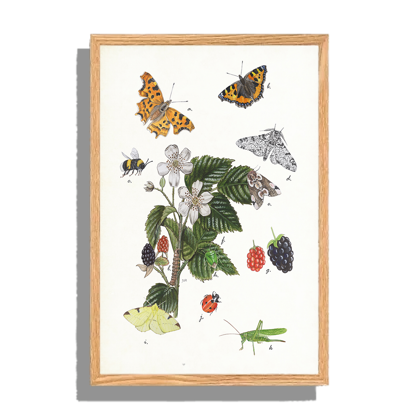 Ingelijst "Braam met haar insecten"