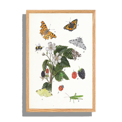 Ingelijst "Braam met haar insecten"