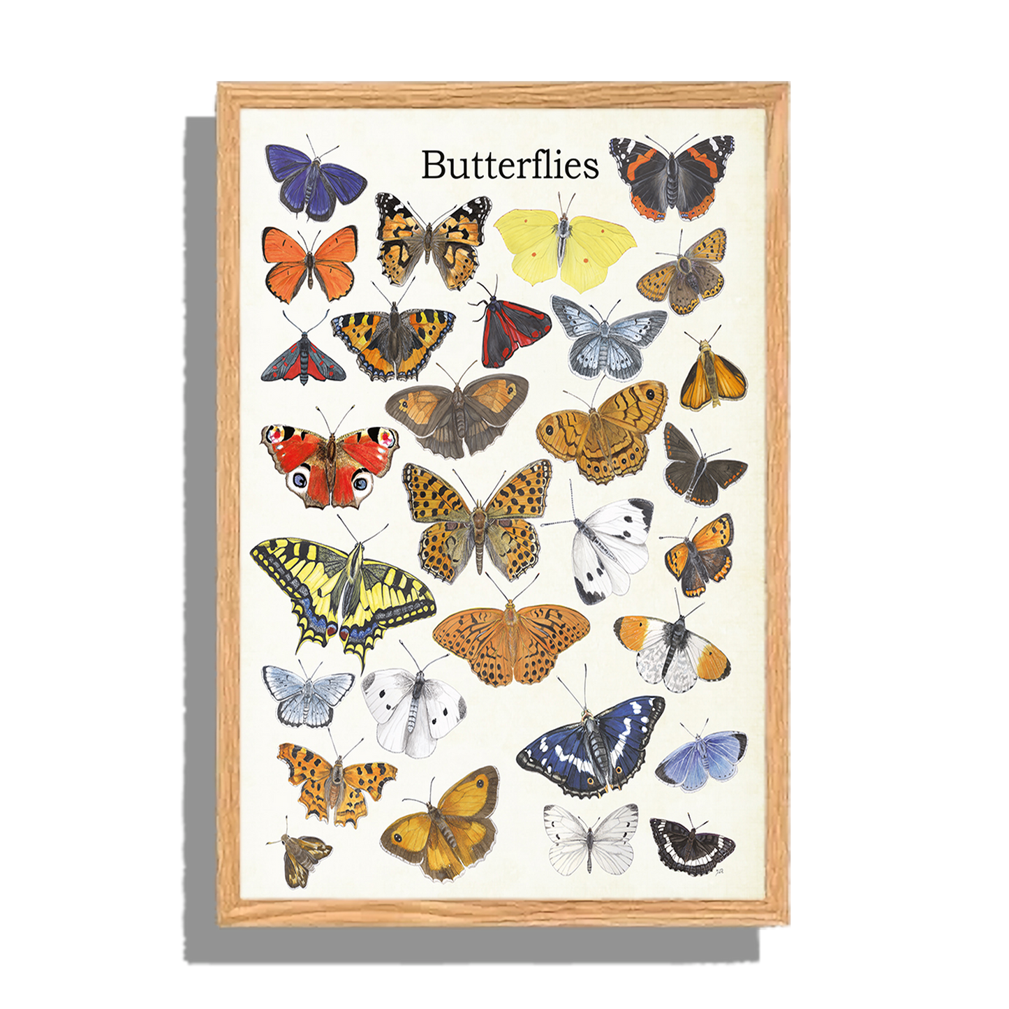 Ingelijst "Butterflies"