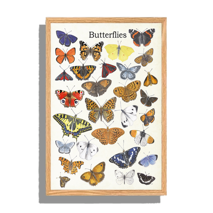 Ingelijst "Butterflies"