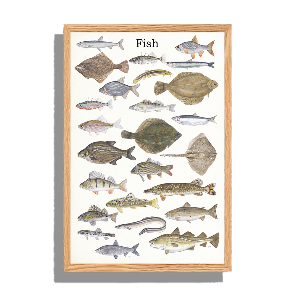 Ingelijst "Fish"