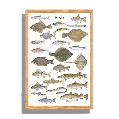 Ingelijst "Fish"