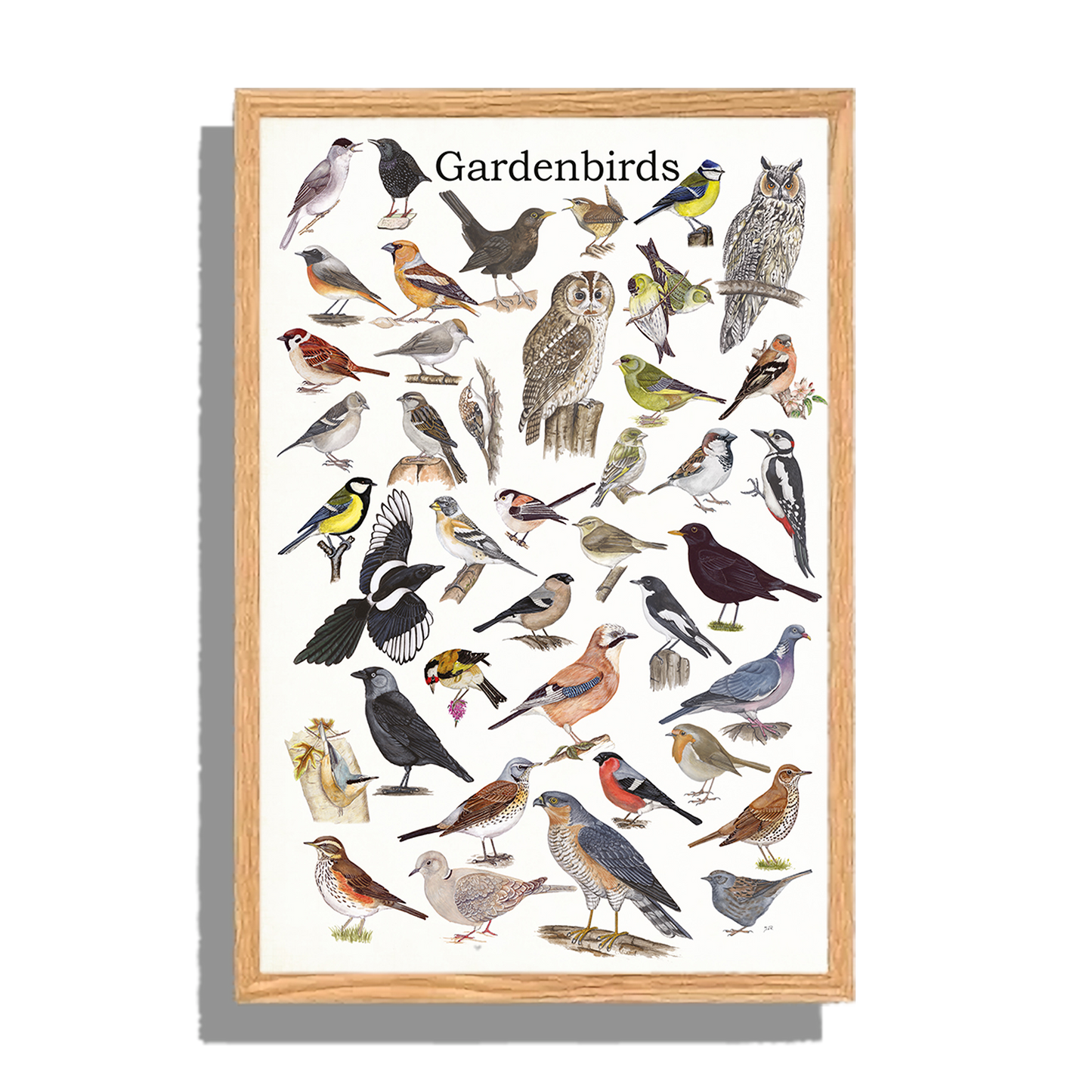 Ingelijst "Gardenbirds"