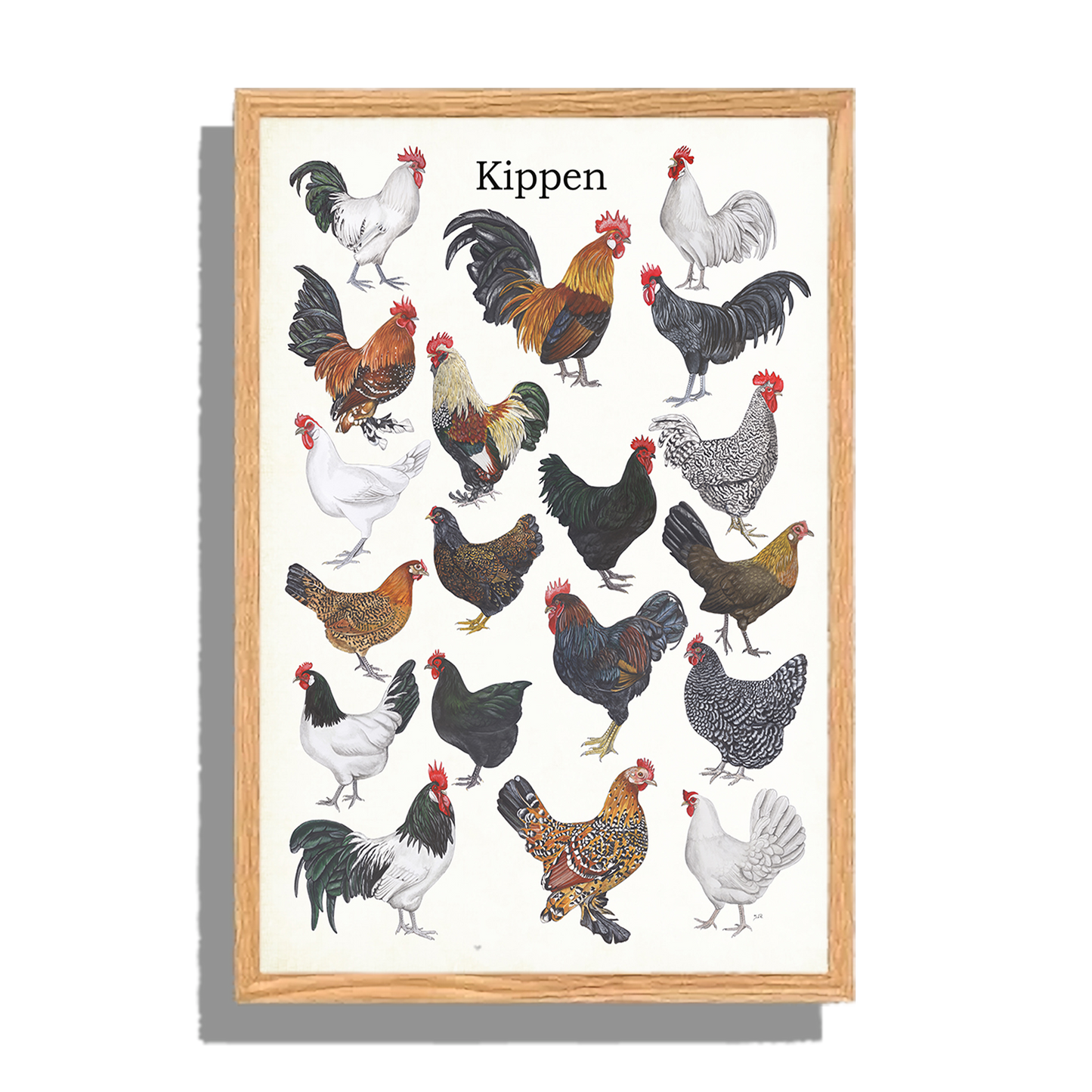 Ingelijst "Kippen"