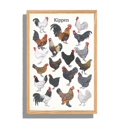 Ingelijst "Kippen"