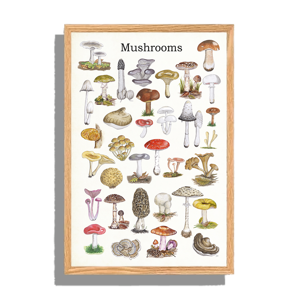 Ingelijst "Mushrooms"