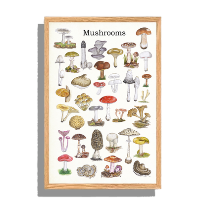 Ingelijst "Mushrooms"