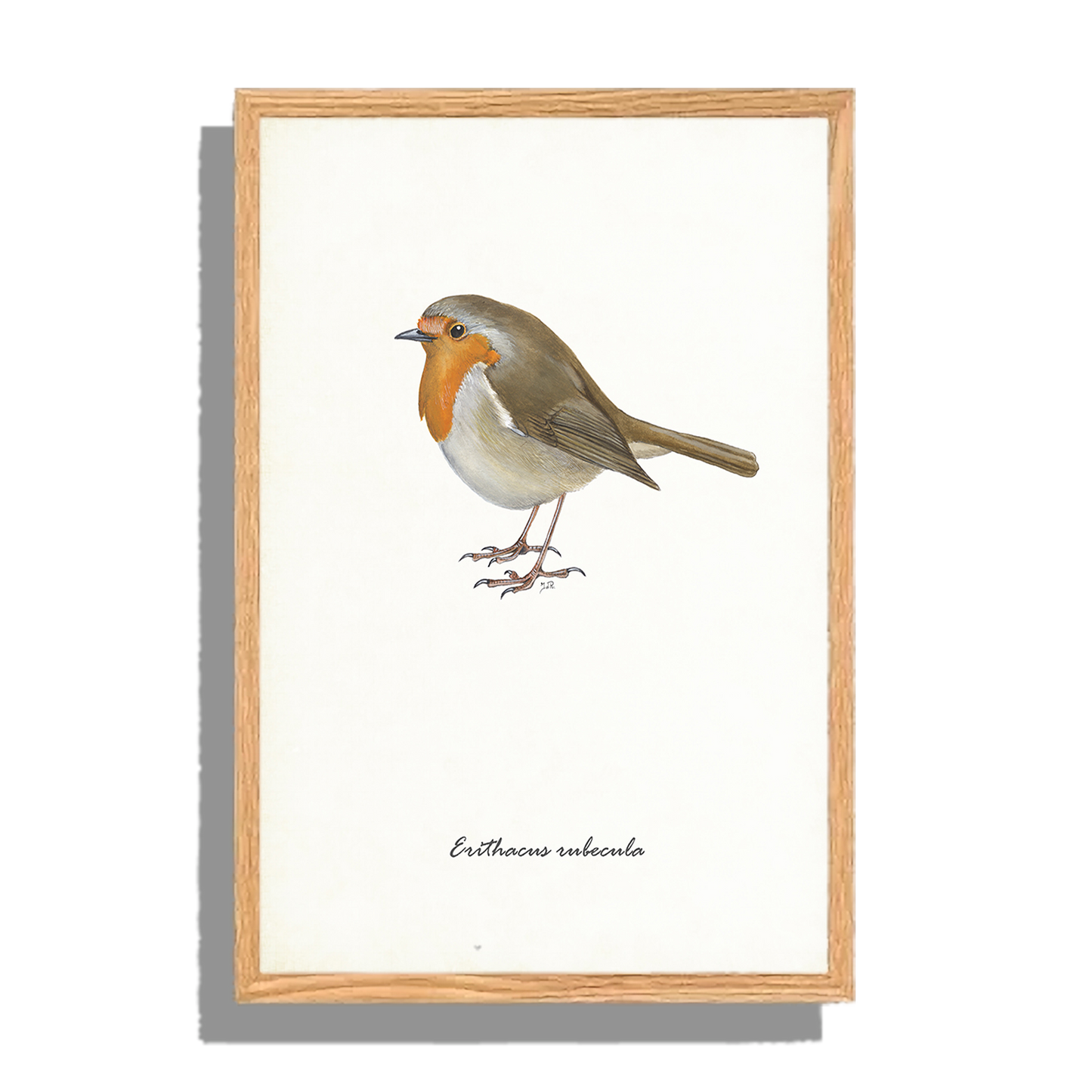 Ingelijst "Roodborst"