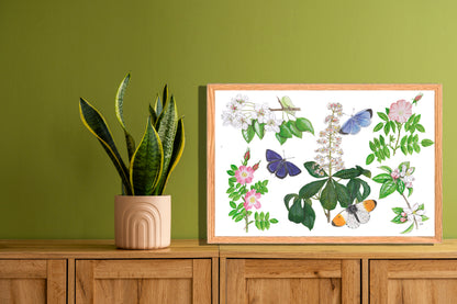 Ingelijst "Bloesems en haar vlinders"