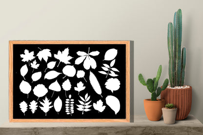 Ingelijst "Collage van bladeren witzwart"