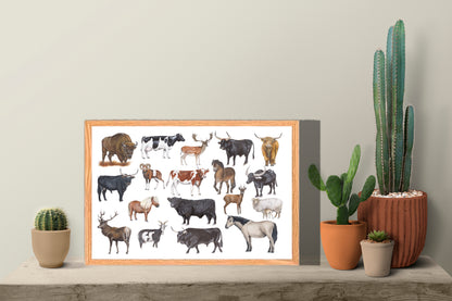 Ingelijst "Grote grazers"