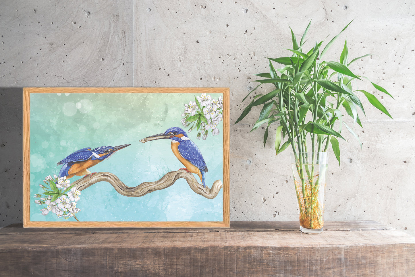 Ingelijst "IJsvogels, paringsritueel
