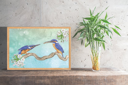Ingelijst "IJsvogels, paringsritueel