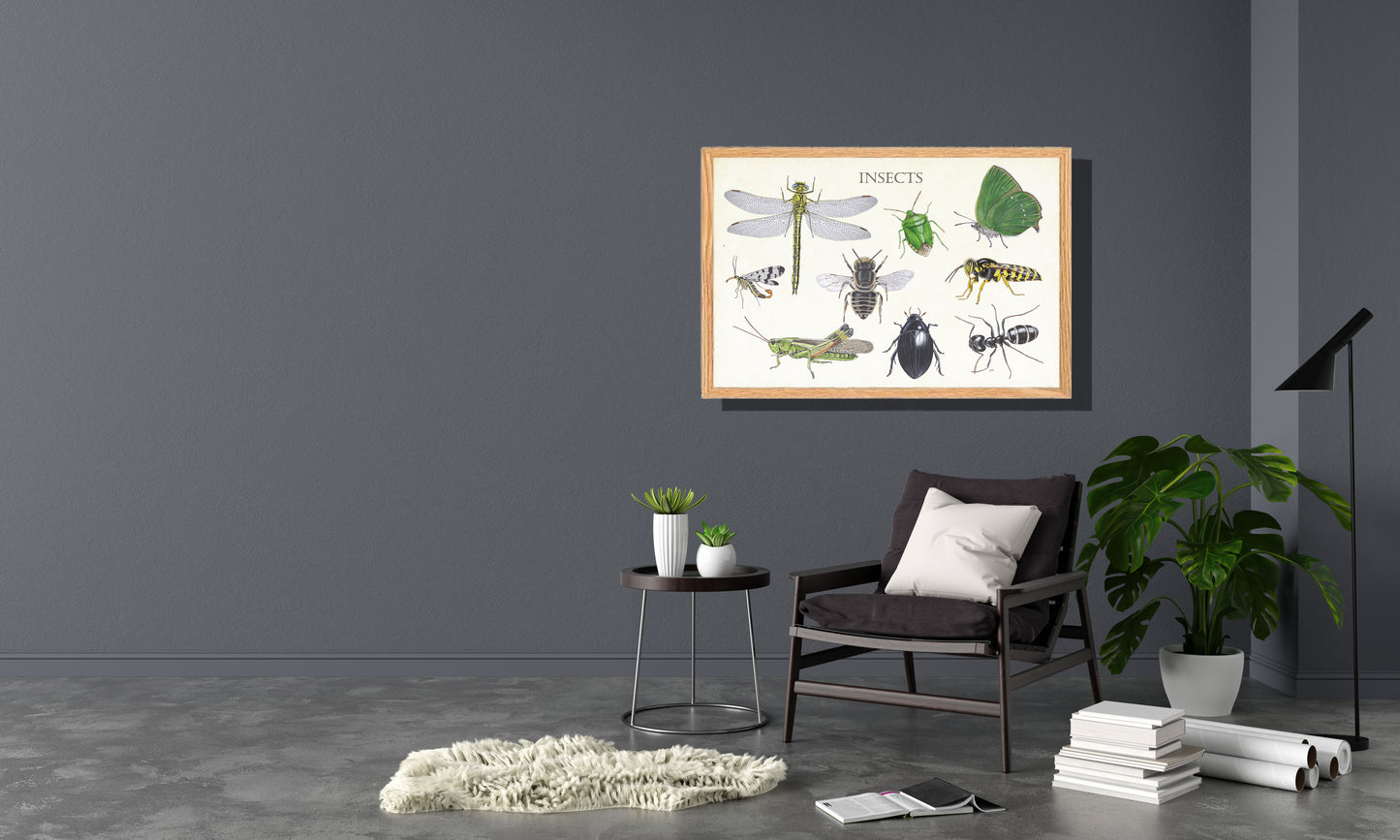 Ingelijst "Insects 2"