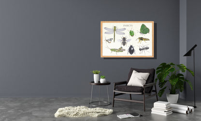 Ingelijst "Insects 2"