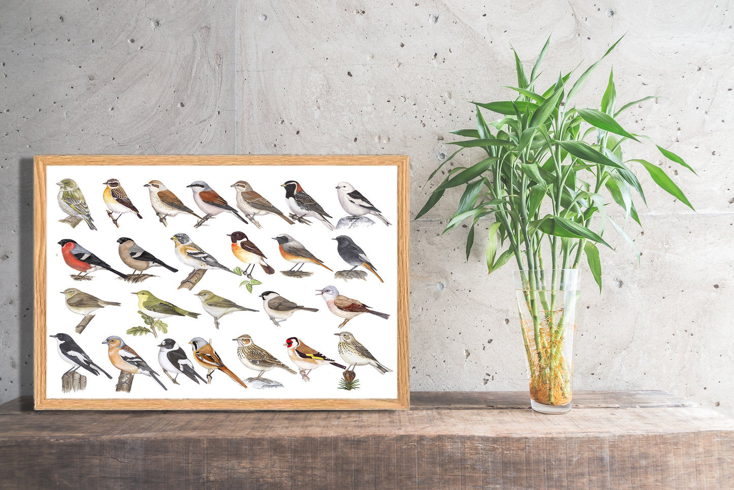 Ingelijst "Kleine zangvogels"