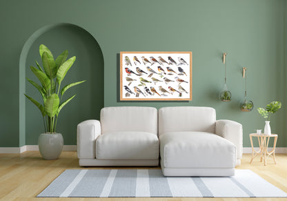 Ingelijst "Kleine zangvogels"
