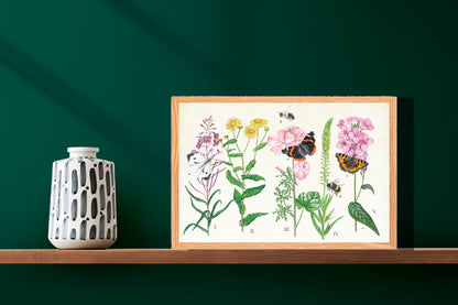 Ingelijst "Planten en haar insecten"