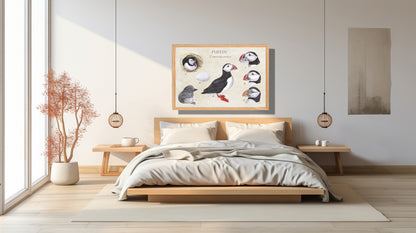 Ingelijst "Puffins, het leven van"