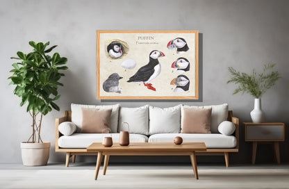 Ingelijst "Puffins, het leven van"