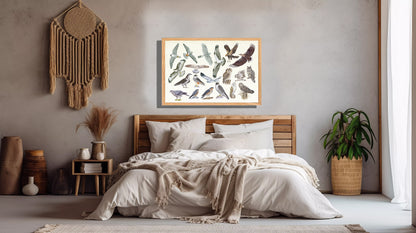 Ingelijst "Roofvogels en uilen"
