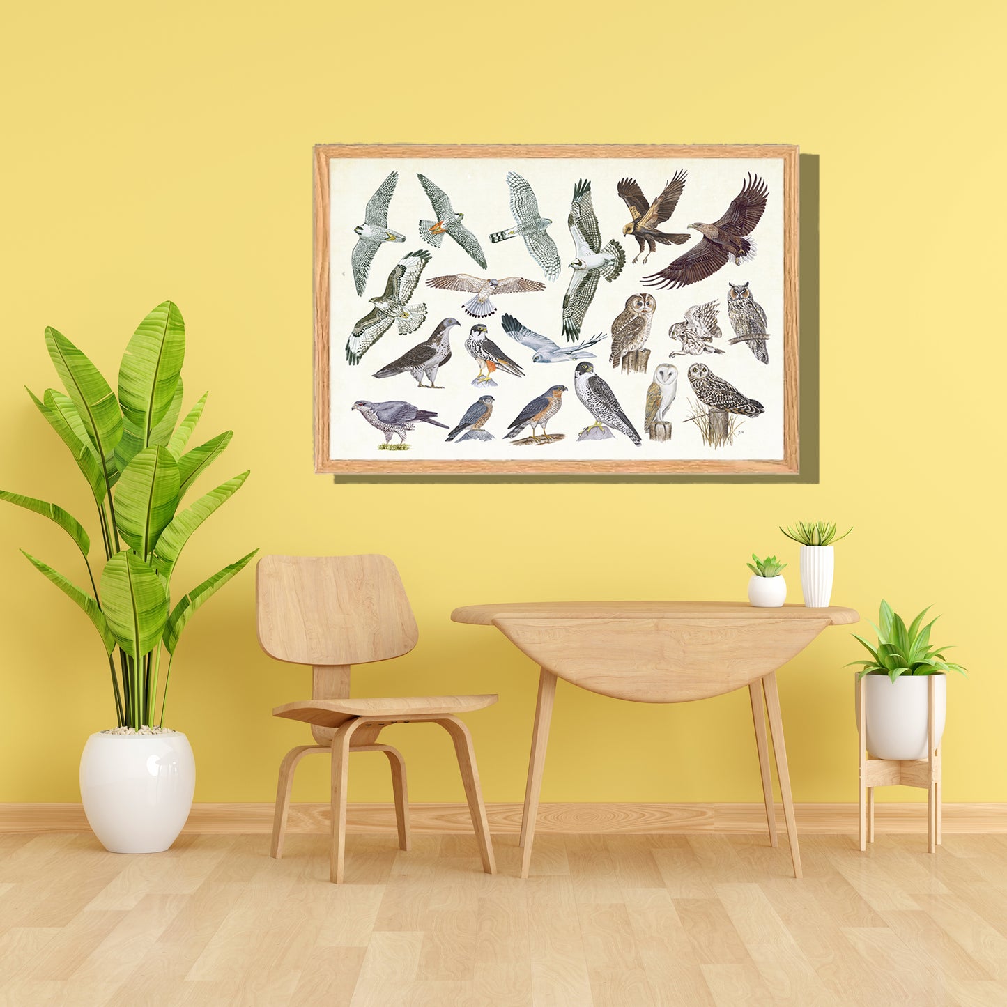Ingelijst "Roofvogels en uilen"