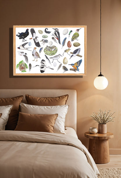 Ingelijst "Vogels, het leven van"
