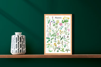 Ingelijst "Planten"