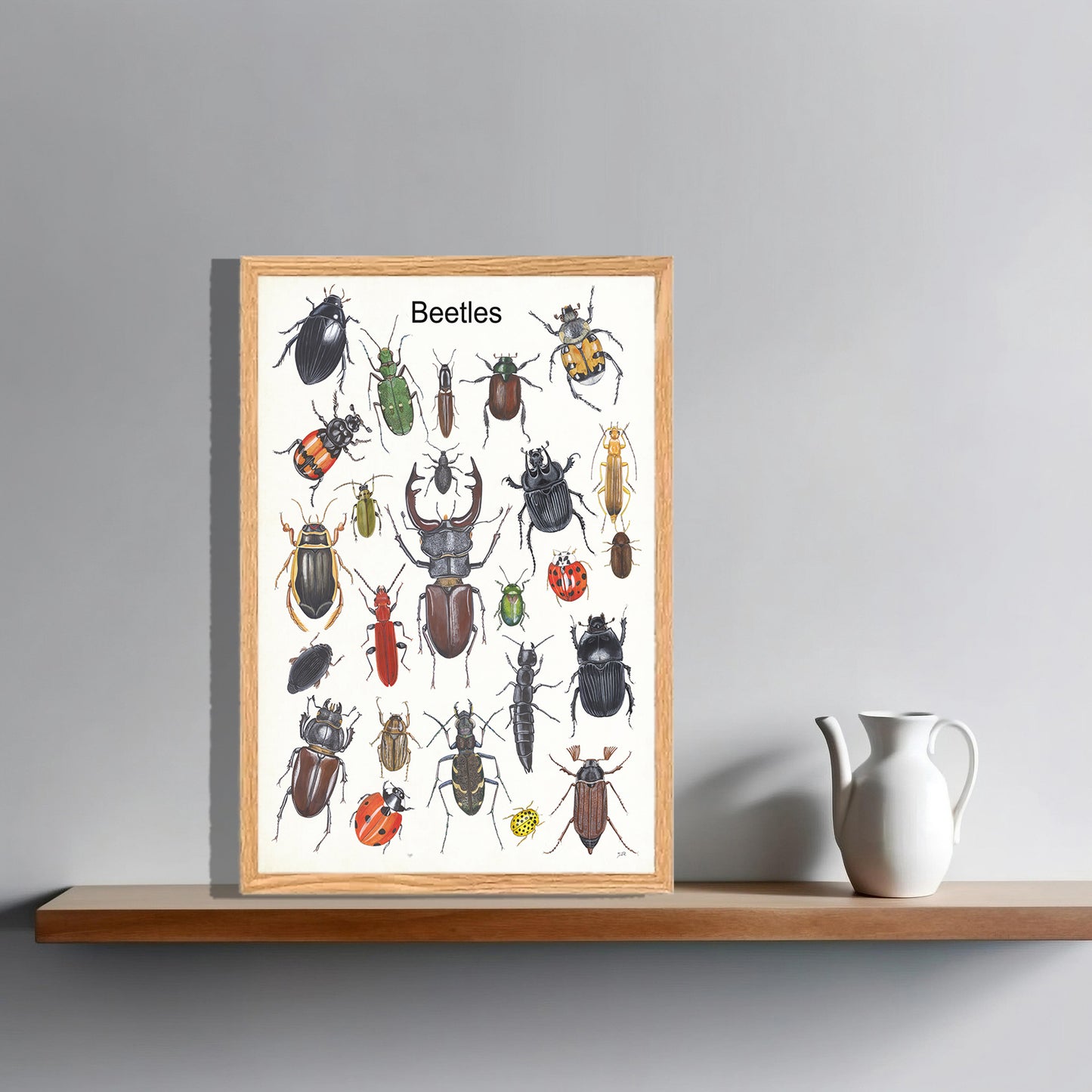 Ingelijst "Beetles"