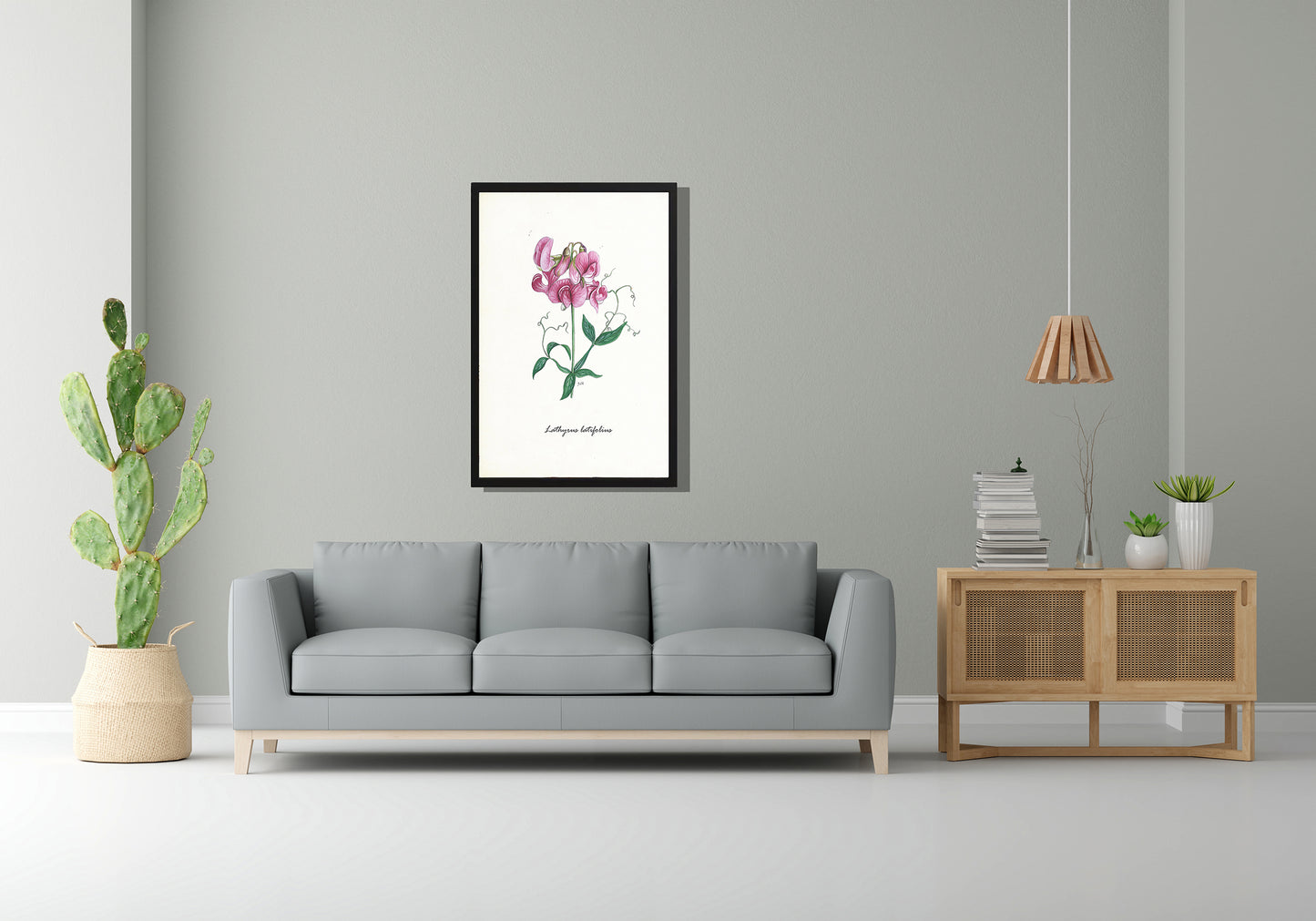 Ingelijst "Brede lathyrus"