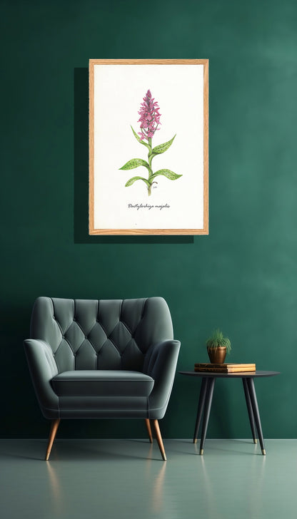 Ingelijst "Brede orchis"