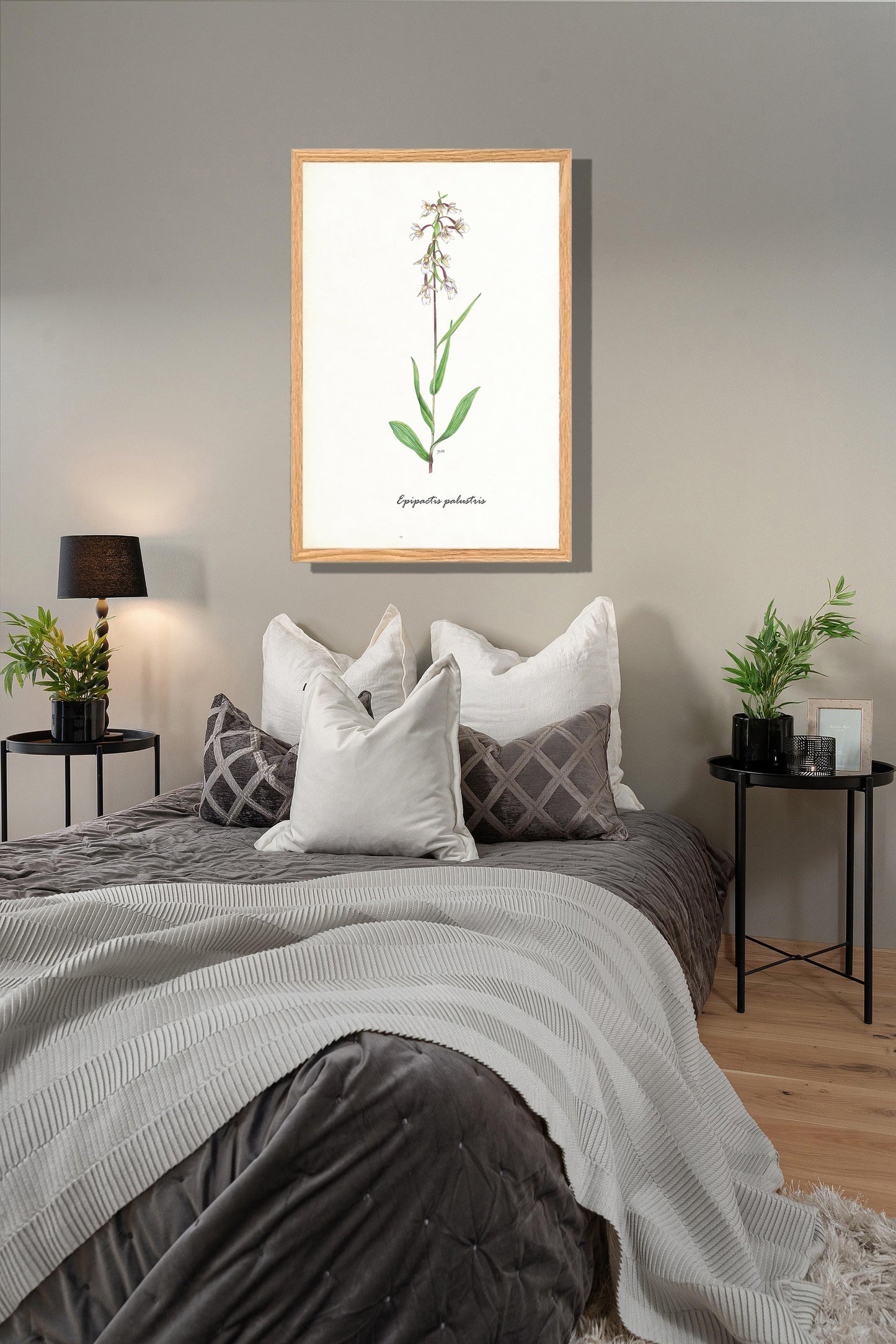 Ingelijst "Moeraswespenorchis"